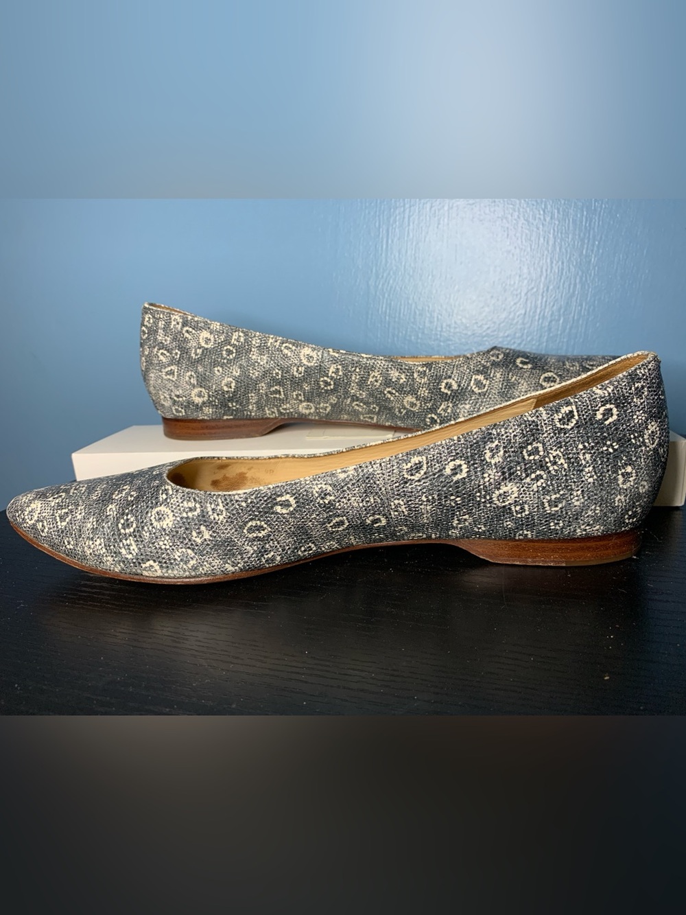 Cole Haan Pointed Toe Flats in Navy and White Pattern